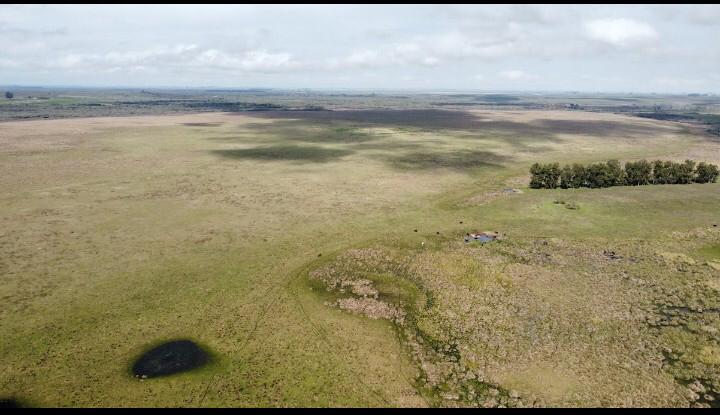 Fazenda no Norte do Uruguai (UY)