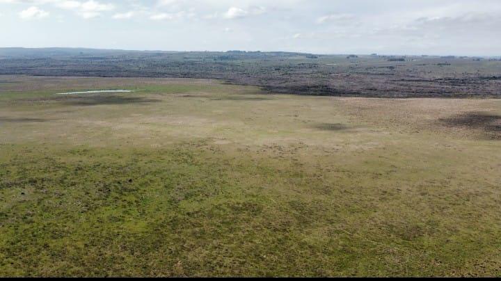 Fazenda no Norte do Uruguai (UY)