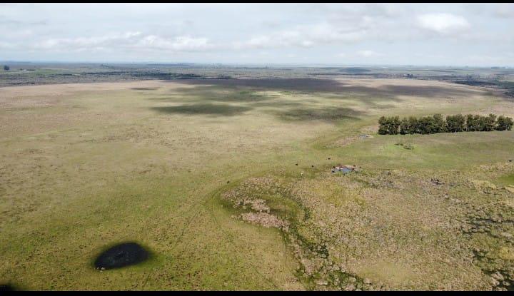 Fazenda no Norte do Uruguai (UY)