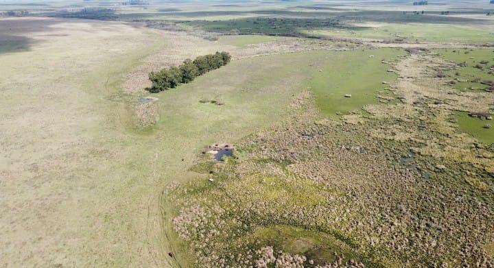 Fazenda no Norte do Uruguai (UY)