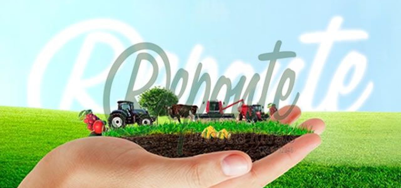 Fazenda no Uruguai: Oportunidade Única para Agricultura e Pecuária